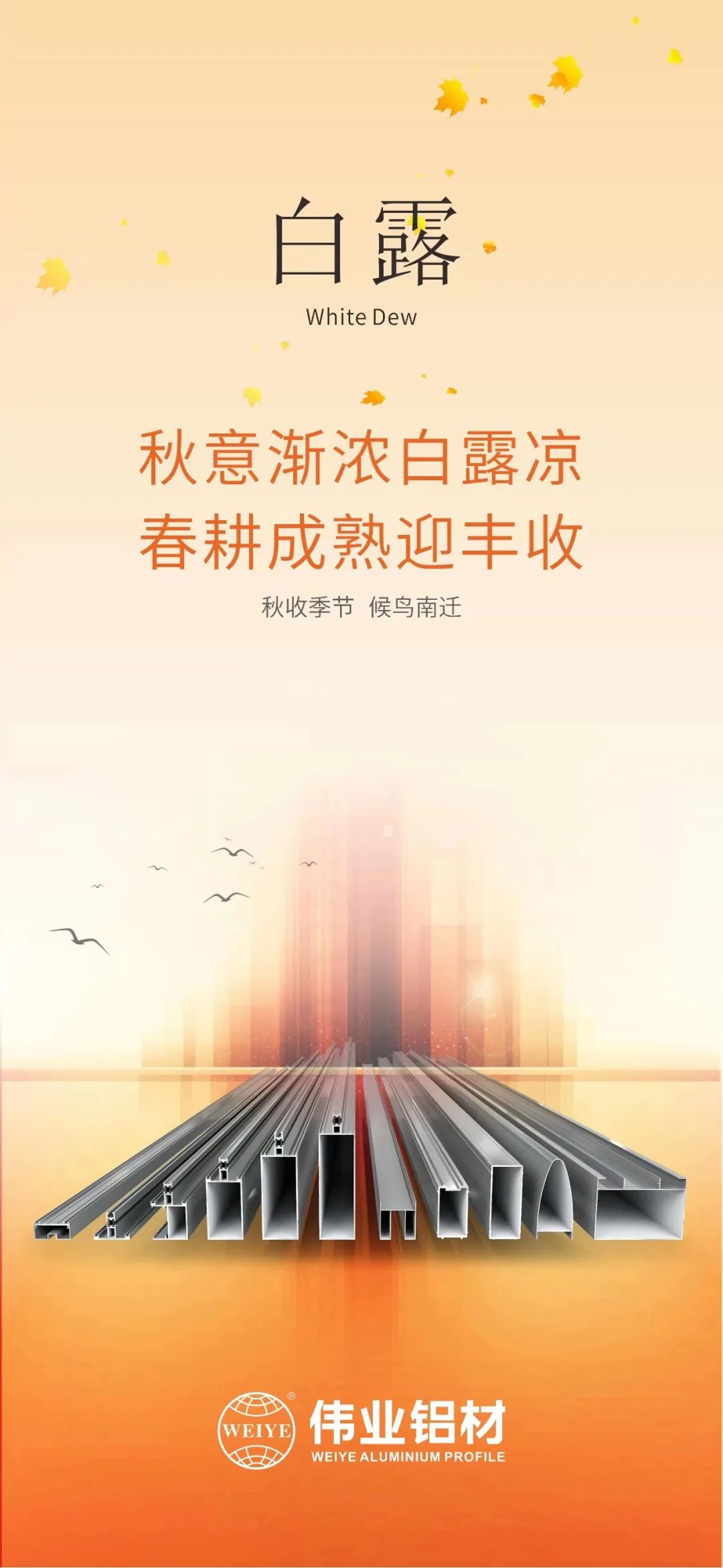 #今日白露 秋意渐浓白露凉 春耕成熟迎丰登