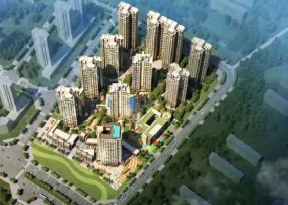 珠海金湾区 | 银鹰花圃