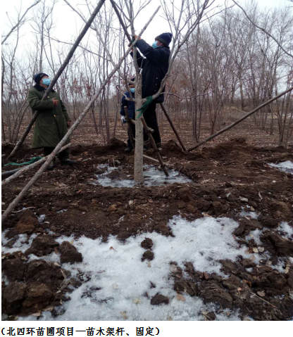 银河集团186net(中国)有限公司官网