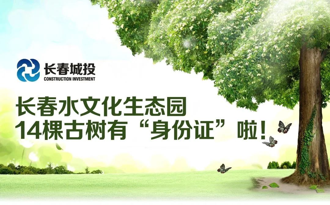 银河集团186net(中国)有限公司官网