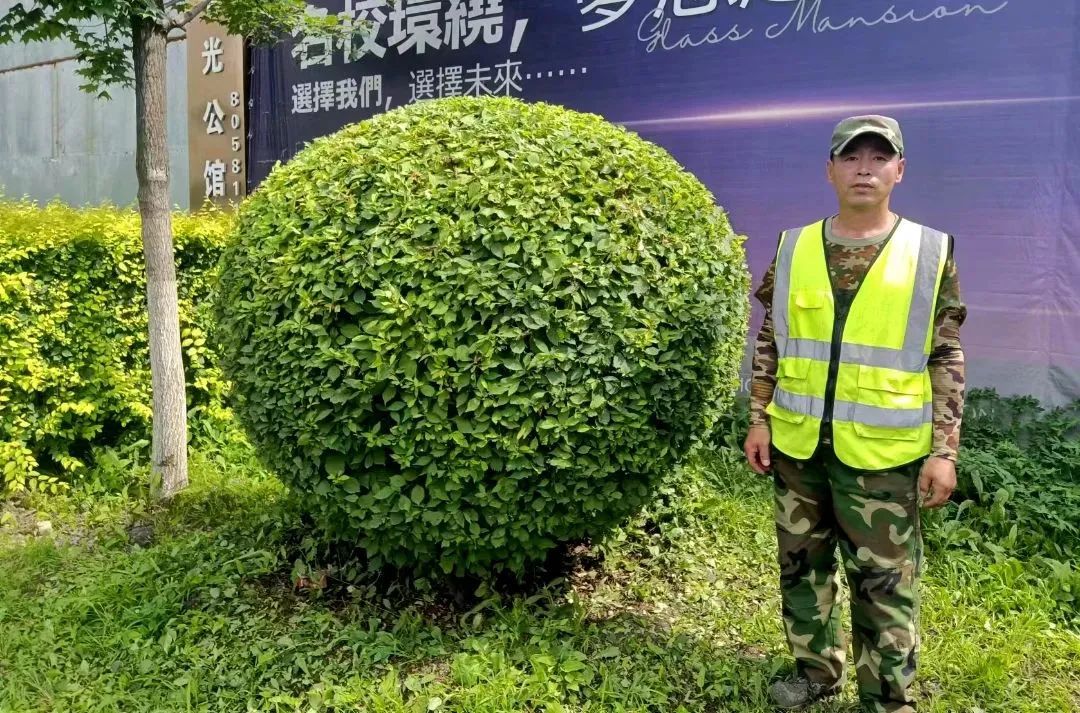 银河集团186net(中国)有限公司官网